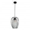 Светильник подвесной Loft It (Light for You) Deseno 10031 Black