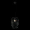 Светильник подвесной Loft It (Light for You) Deseno 10031 Black