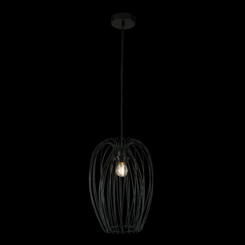 Светильник подвесной Loft It (Light for You) Deseno 10031 Black