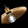 Светильник подвесной ST Luce ROMO SL1017.203.01