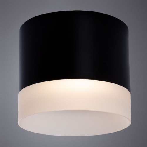 Потолочный светильник Arte Lamp CASTOR A5554PL-1BK