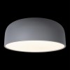 Потолочный светильник Loft It (Light for You) Axel 10201/480 Grey