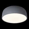 Потолочный светильник Loft It (Light for You) Axel 10201/480 Grey