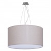 Подвесной светильник TopDecor Crocus Glade S3 01 96g