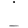 Подвесной светильник Loft It (Light for You) Plato 10119 Grey