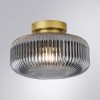 Светильник потолочный Arte Lamp HAMAL A6170PL-1GO