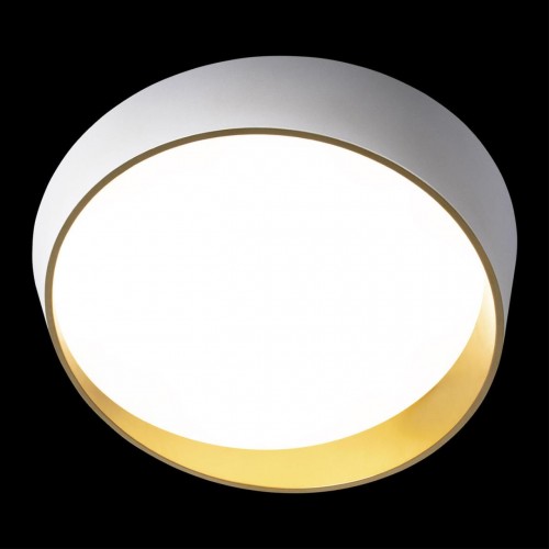 Потолочный светильник Loft It (Light for You) Coin 10199 White