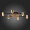 Светильник потолочный ST Luce VEROLI SL1207.402.06