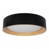 Потолочный светильник Loft It (Light for You) Coin 10202 Black