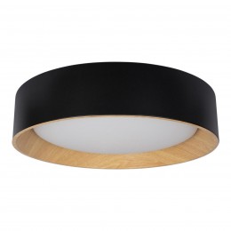 Потолочный светильник Loft It (Light for You) Coin 10202 Black