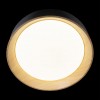 Потолочный светильник Loft It (Light for You) Coin 10202 Black