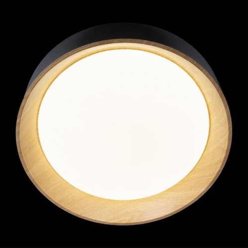 Потолочный светильник Loft It (Light for You) Coin 10202 Black