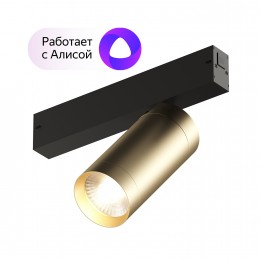 Акцентный светильник SMART SPOT Denkirs DK8020-BG