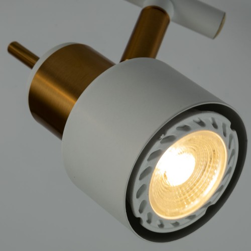 Потолочный светильник Arte Lamp ALMACH A1906PL-2WH