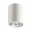 Накладной светильник Odeon Light Pillaron 3564/1C